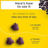 Zarbee's gummies with vitamins A, C, D, E & zinc ingredients