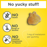 Zarbee's Kids Melatonin Sleep Gummies ingredients list