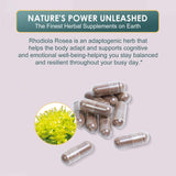 ZAXINERY Rhodiola Rosea Capsules 500mg on wooden table