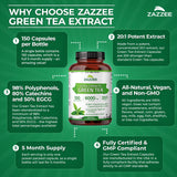 Zazzee Green Tea Extract bottle with ingredients list