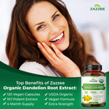 Zazzee Organic Dandelion Root Extract ingredients list