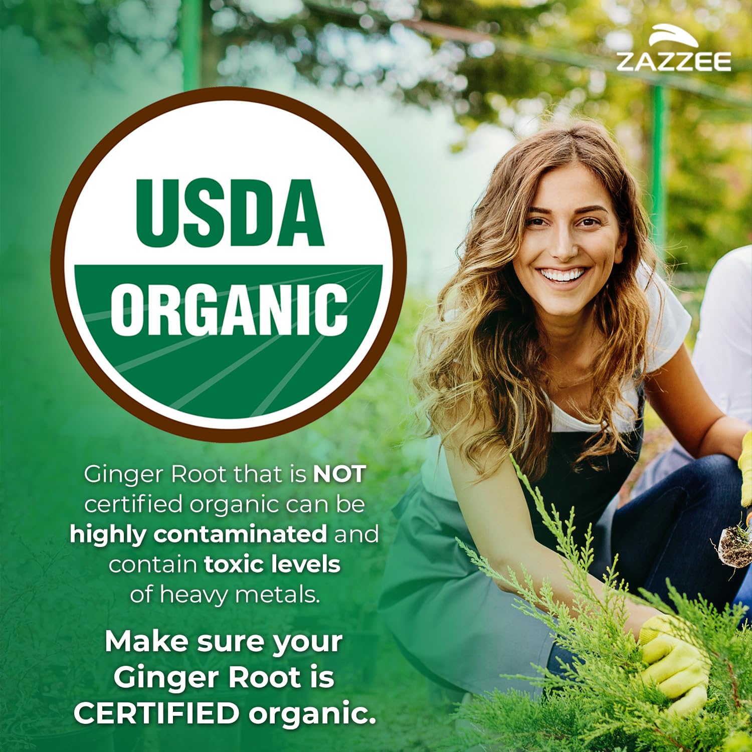 Zazzee Organic Ginger Root Extract bottle side view