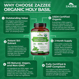 Zazzee Organic Holy Basil Extract 10:1 capsules in hand