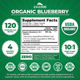 Zazzee Organic Wild Blueberry Extract capsules close-up