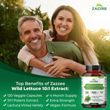 Zazzee Wild Lettuce Extract 10:1 120 Capsules bottle with label