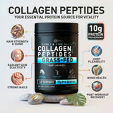 Zeal Naturals Collagen Peptides Powder mixed in a smoothie