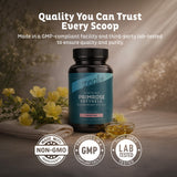Zeal Naturals Evening Primrose Oil softgel bottle with a natural background