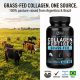 Zeal Naturals Hydrolyzed Collagen Peptides 290g packaging