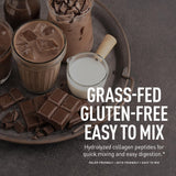 Zeal Naturals Multi Collagen Protein Powder 604g in a glass of juice