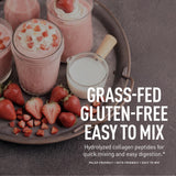 Zeal Naturals Multi Collagen Protein Powder packaging with ingredients list