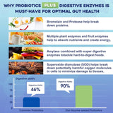ZEBORA 3-in-1 Probiotics 100 Billion CFU side view of the bottle