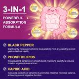 ZEBORA Berberine HCl capsule close-up