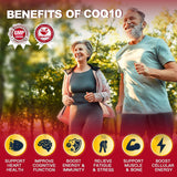 ZEBORA CoQ10 400mg capsules with a glass of water