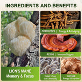 ZEBORA Lion's Mane Mushroom Capsules with measuring spoon