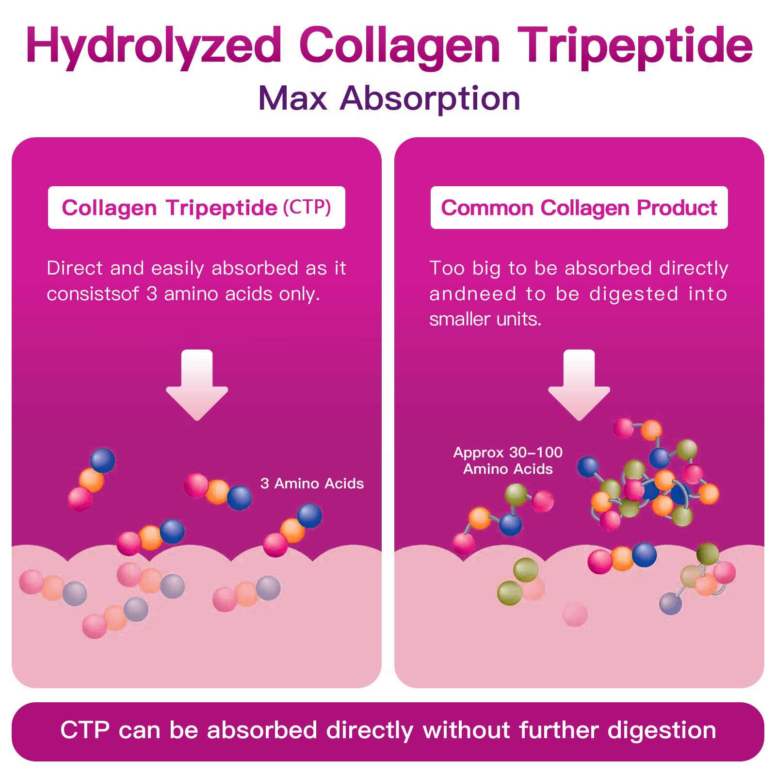 ZEBORA Multi Collagen Peptides Powder serving suggestion