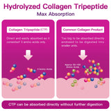 ZEBORA Multi Collagen Peptides Powder serving suggestion