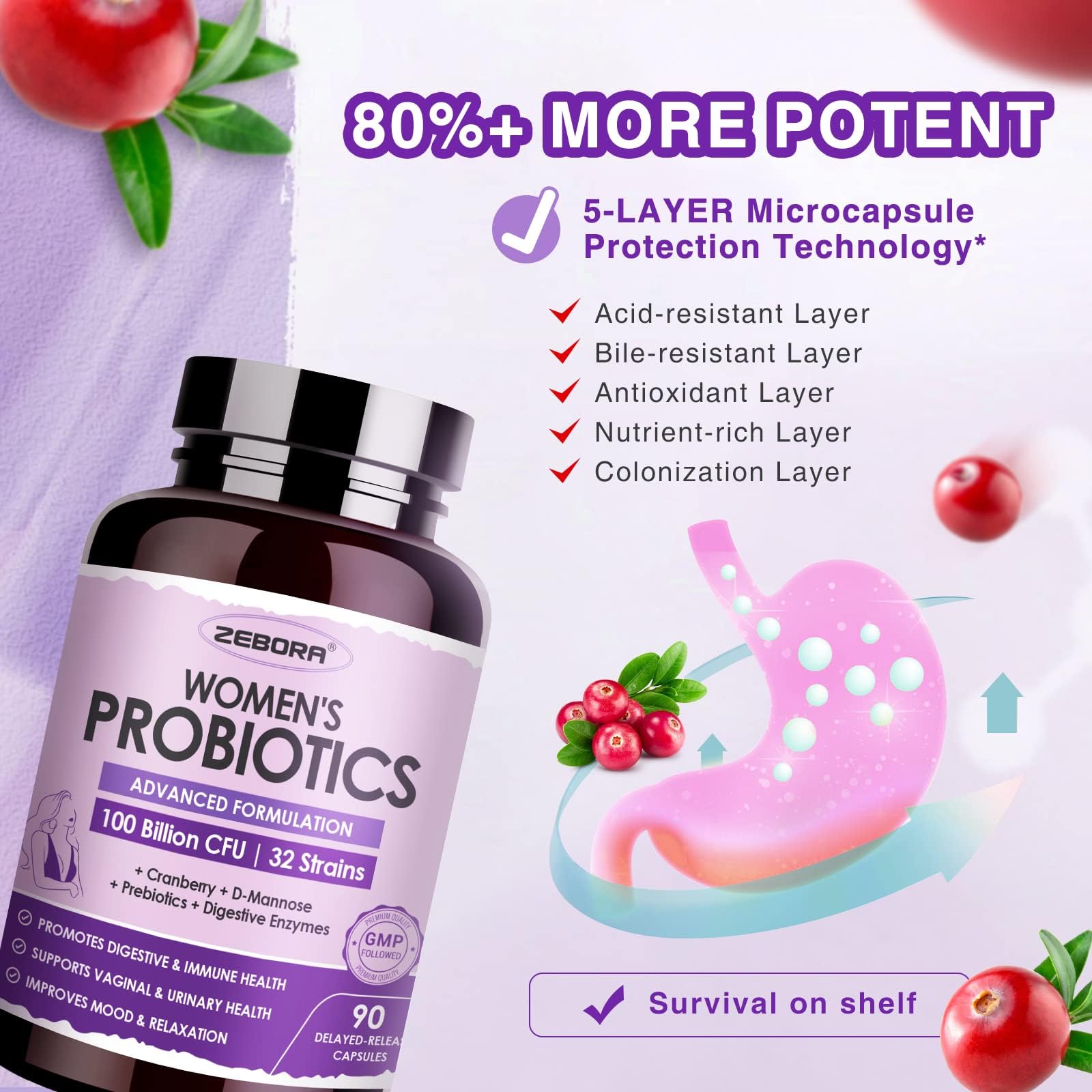 ZEBORA Probiotic Capsules in a lifestyle setting
