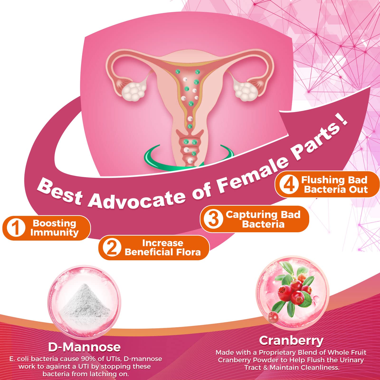 ZEBORA Probiotic Supplement for Women packets layout