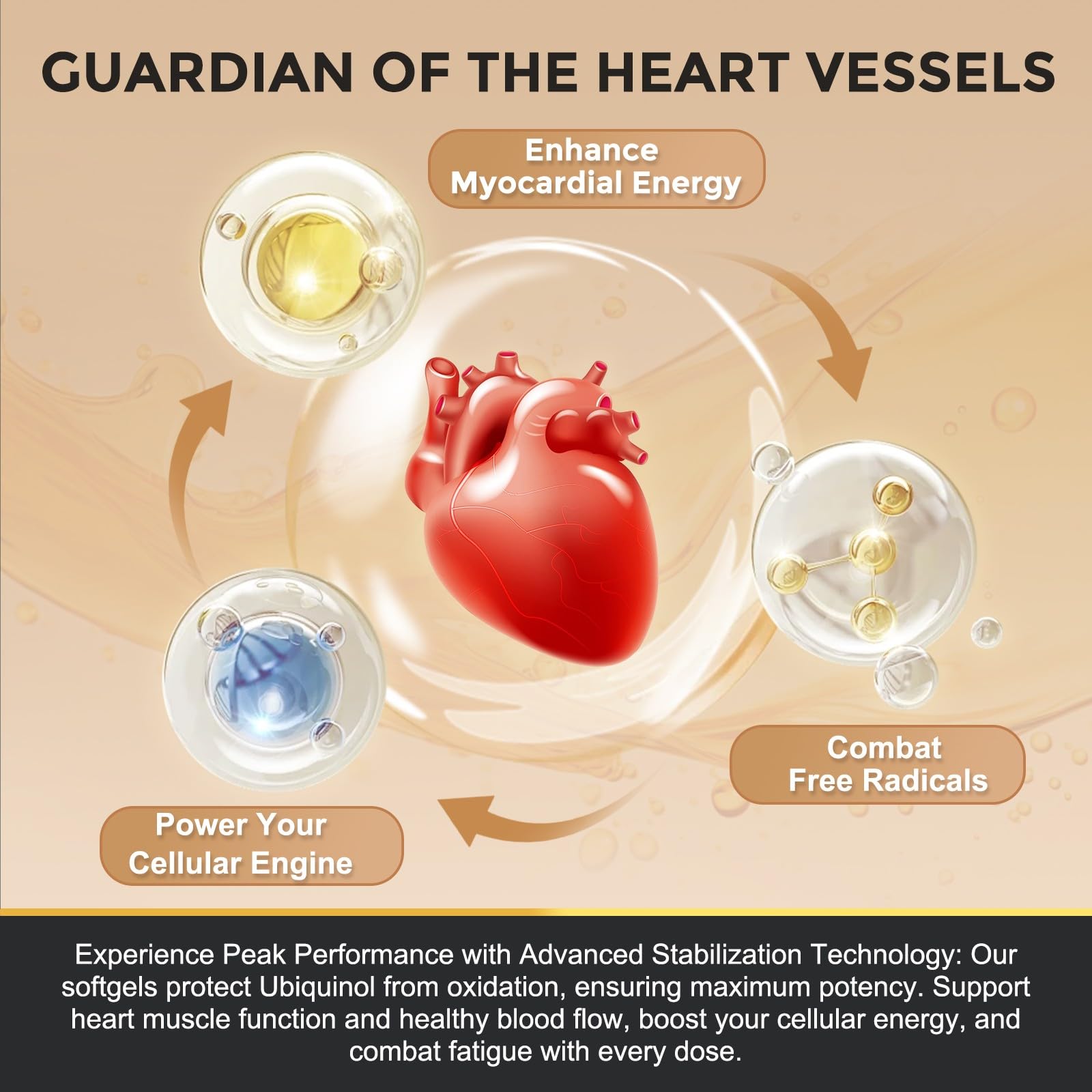 ZEBORA Ubiquinol CoQ10 100mg supplement ingredients list