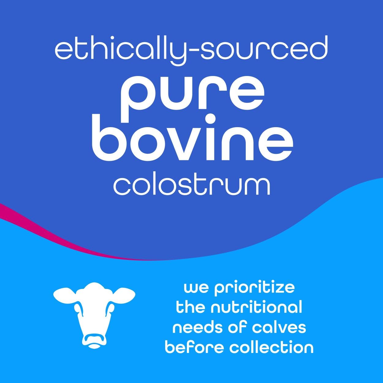 Zena Nutrition Colostrum Collagen Powder mixed in a glass of water