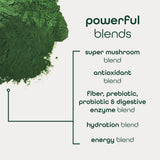 Zena Nutrition Organic Supergreens Energy + Hydration packaging on a kitchen counter