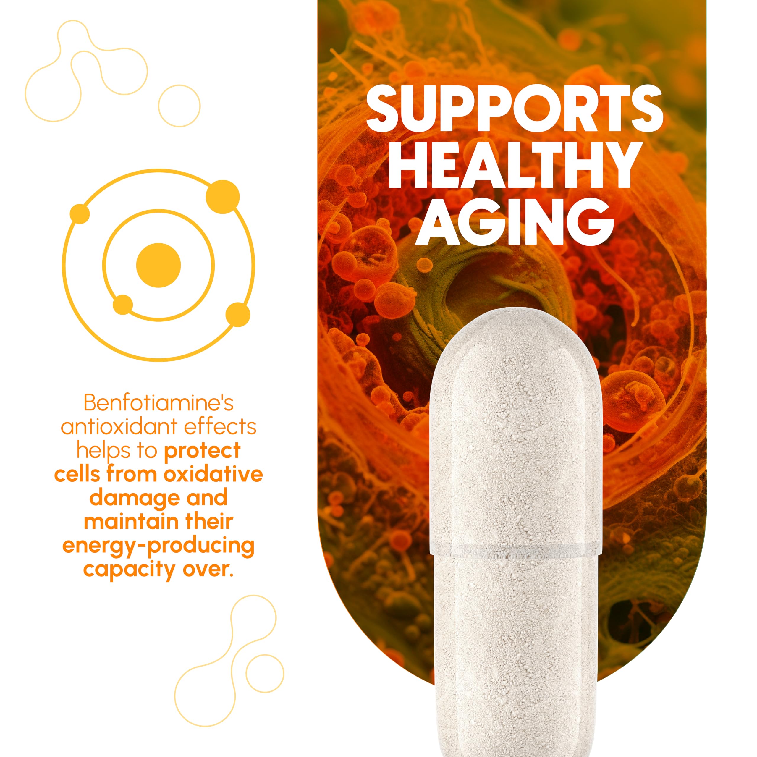 Zenavea Benfotiamine 300mg supplement back view