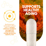 Zenavea Benfotiamine 300mg supplement back view