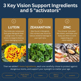Zenith Labs Vision 20 Lutein Supplement in a lifestyle setting