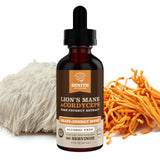 Zenith Nootropics Mushroom Supplement lifestyle scene