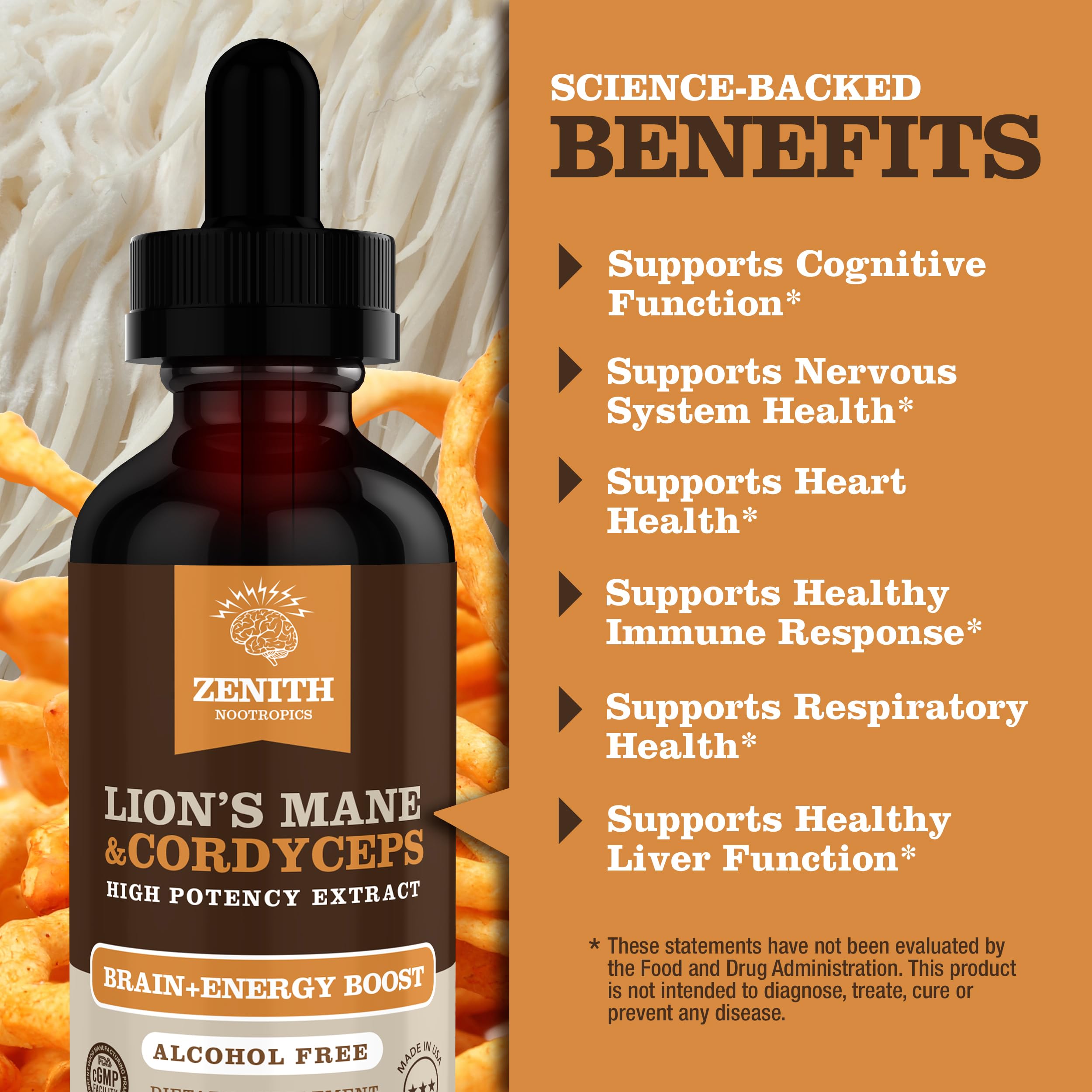 Zenith Nootropics Mushroom Supplement with study materials