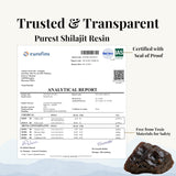 ZENITH RITUAL Shilajit Gummies displayed with fresh Moringa leaves