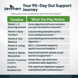 Zenmen H.Pylori Support Probiotic Capsules close-up of ingredients