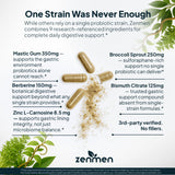 Zenmen H.Pylori Support Probiotic Capsules in hand