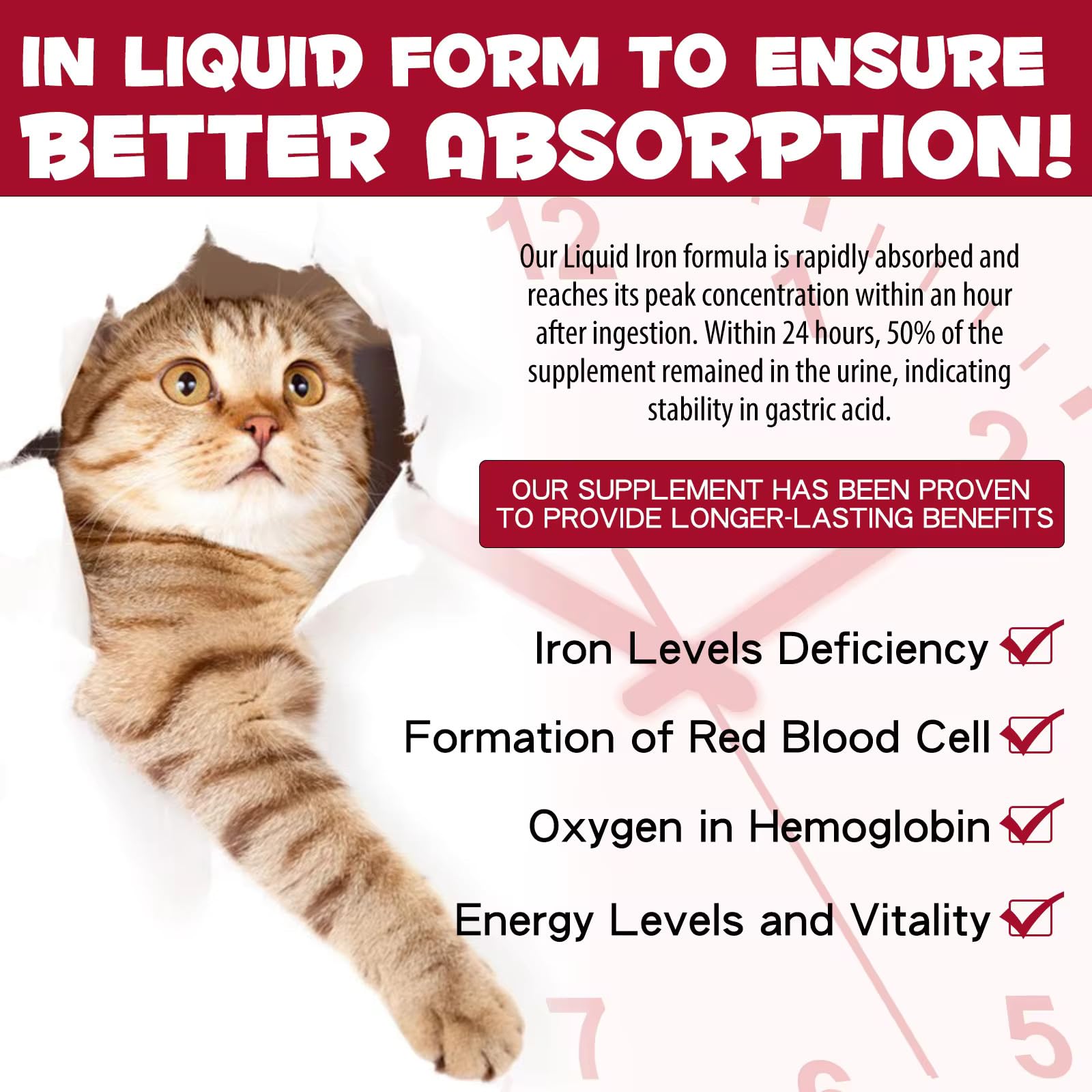 Zenpaws Liquid Iron Supplement bottle with dosage instructions
