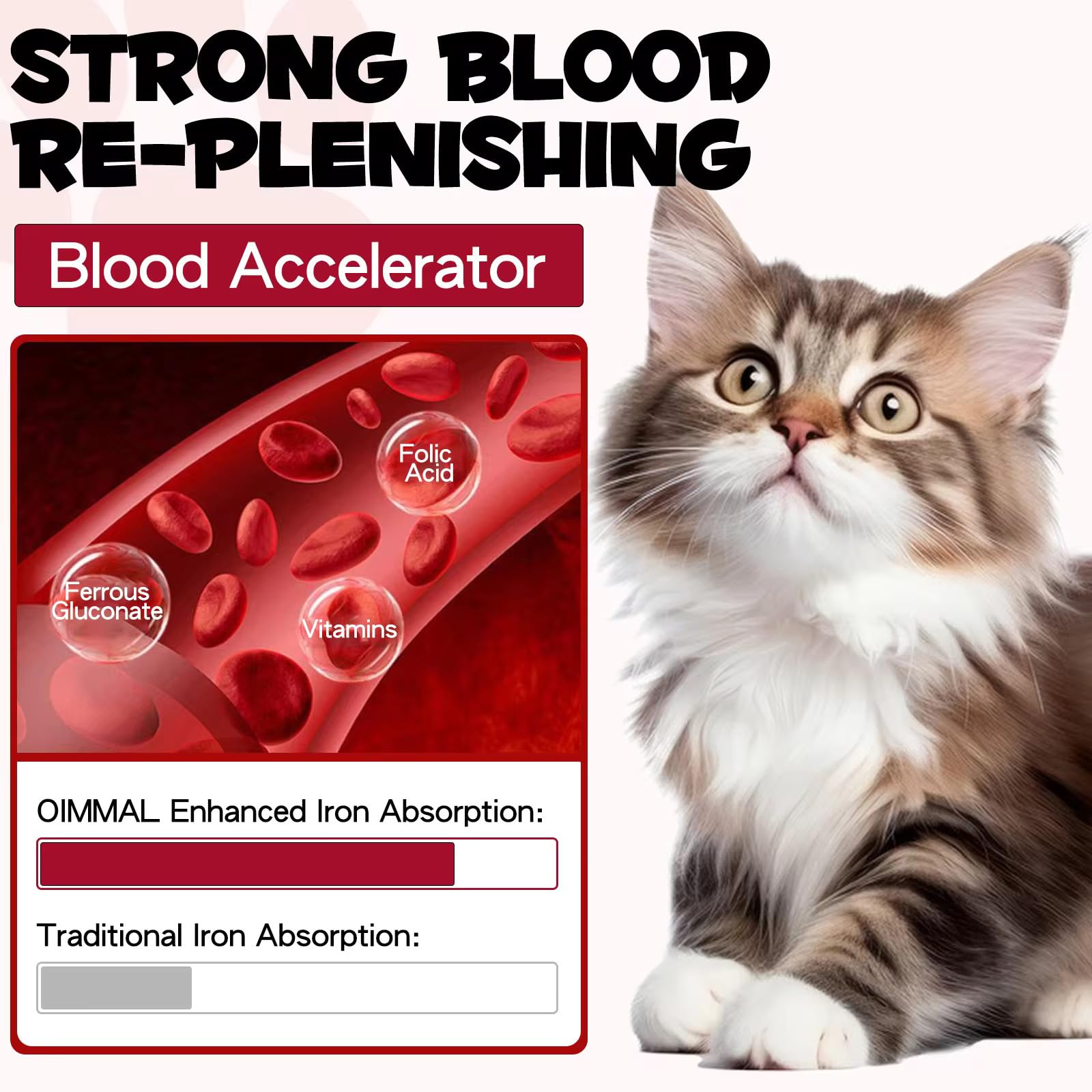 Zenpaws Liquid Iron Supplement for Cats in a pet care setting