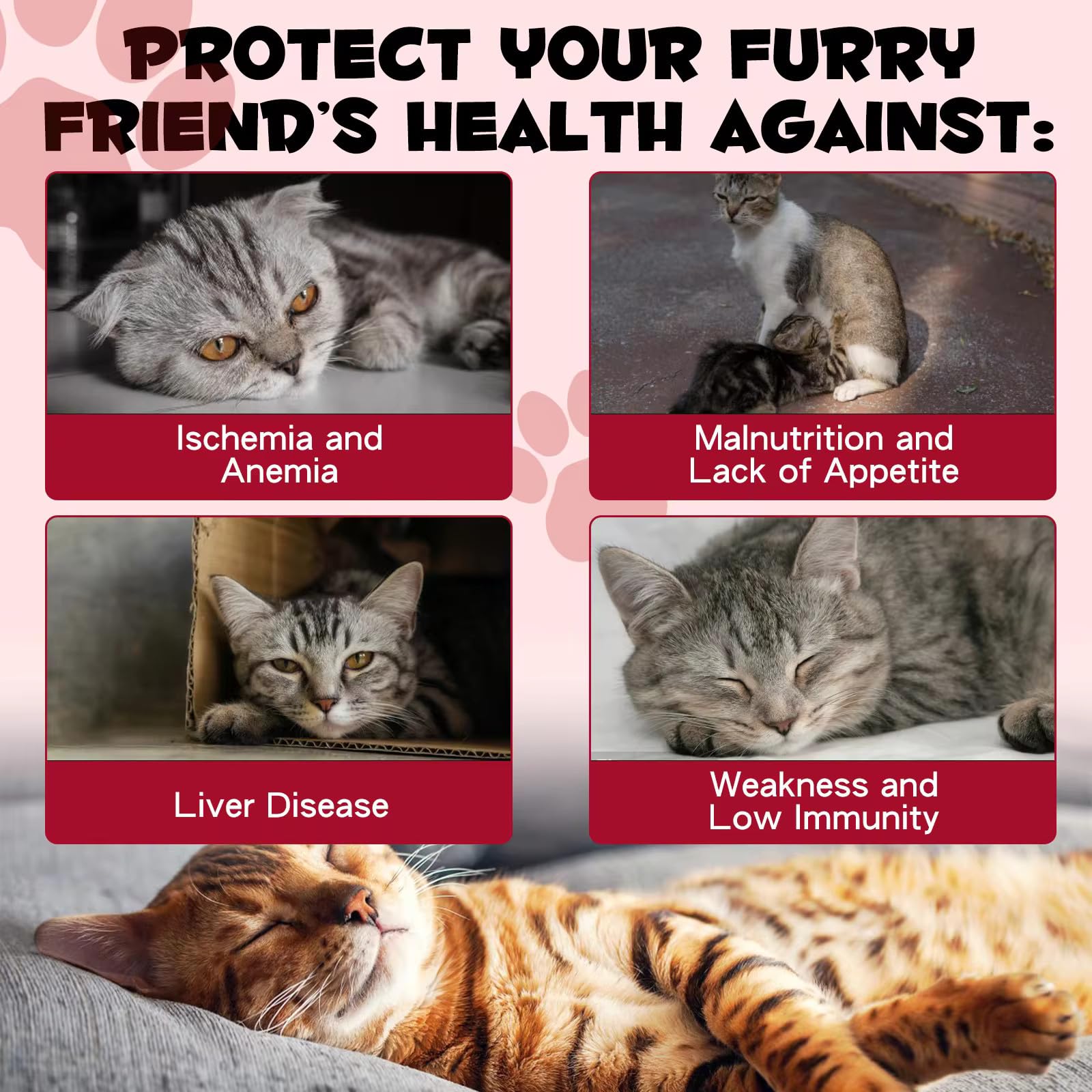 Zenpaws Liquid Iron Supplement for Cats side view