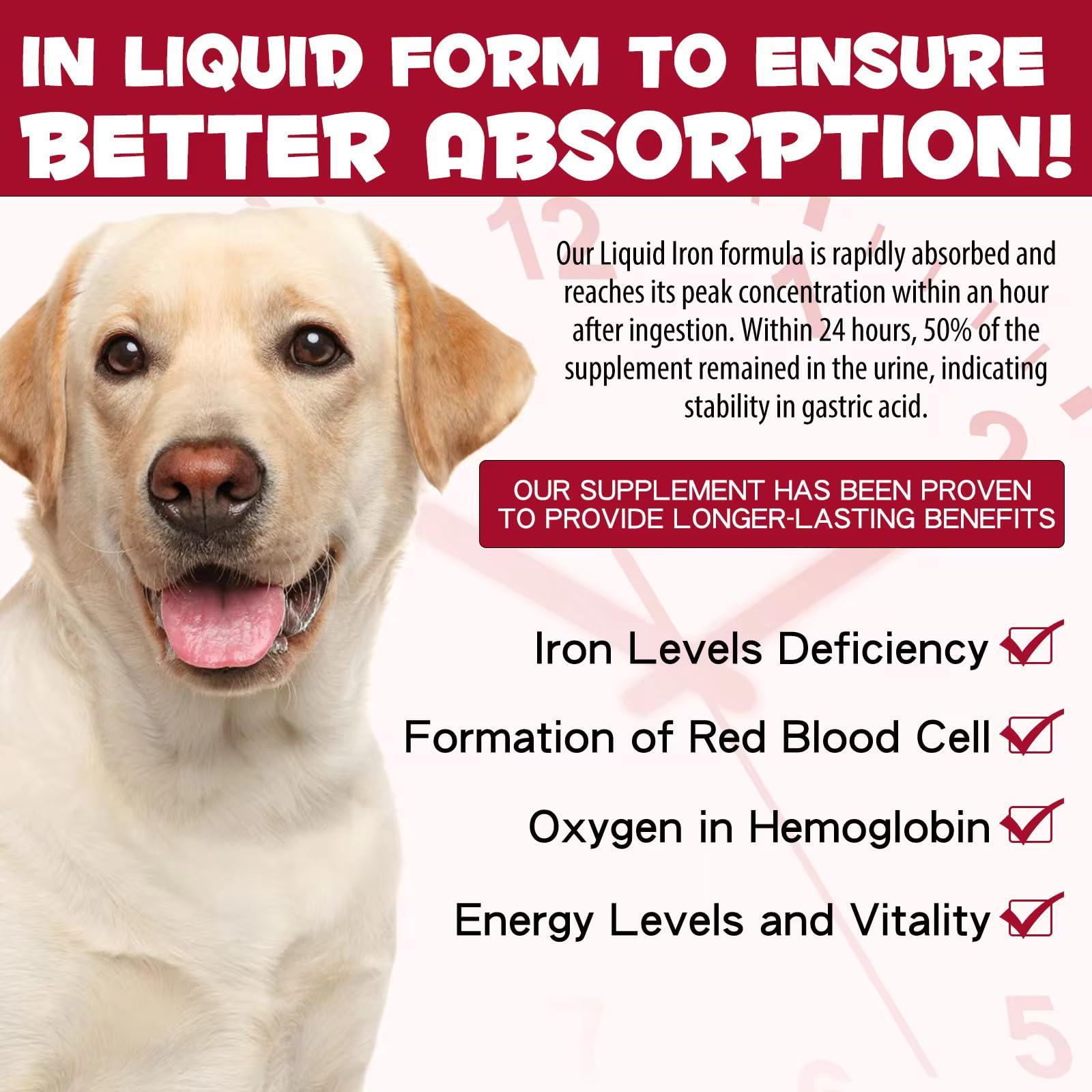 Zenpaws Liquid Iron Supplement for Dogs 181g in a dog food bowl