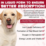 Zenpaws Liquid Iron Supplement for Dogs 181g in a dog food bowl