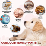 Zenpaws Liquid Iron Supplement for Dogs 181g ingredients list