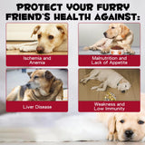 Zenpaws Liquid Iron Supplement for Dogs 181g lifestyle scene with dog