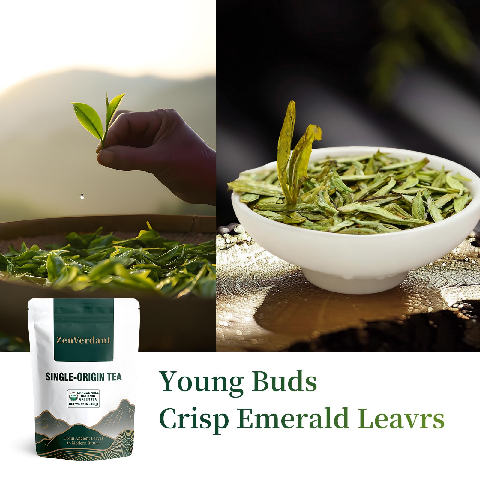ZenVerdant Longjing Green Tea brewed cup with steam