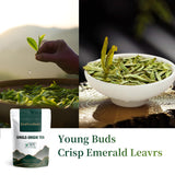 ZenVerdant Longjing Green Tea brewed cup with steam