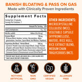 Zenwise Health Lactase Enzyme Supplement on a kitchen counter