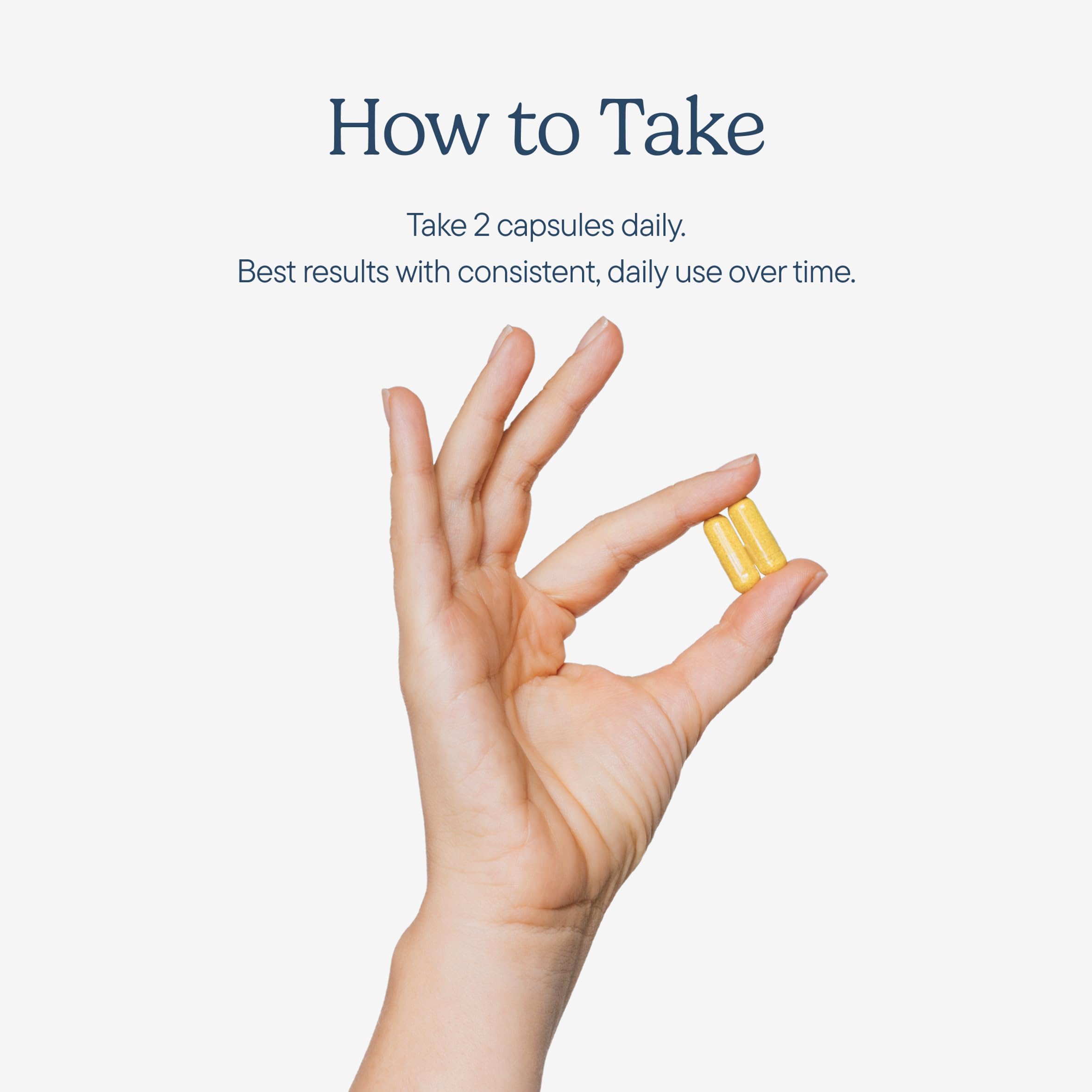 Zenwise Health No Lactase Supplement ingredients list