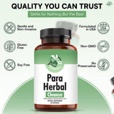 zestyfit Herbal Softgel Supplement in lifestyle setting