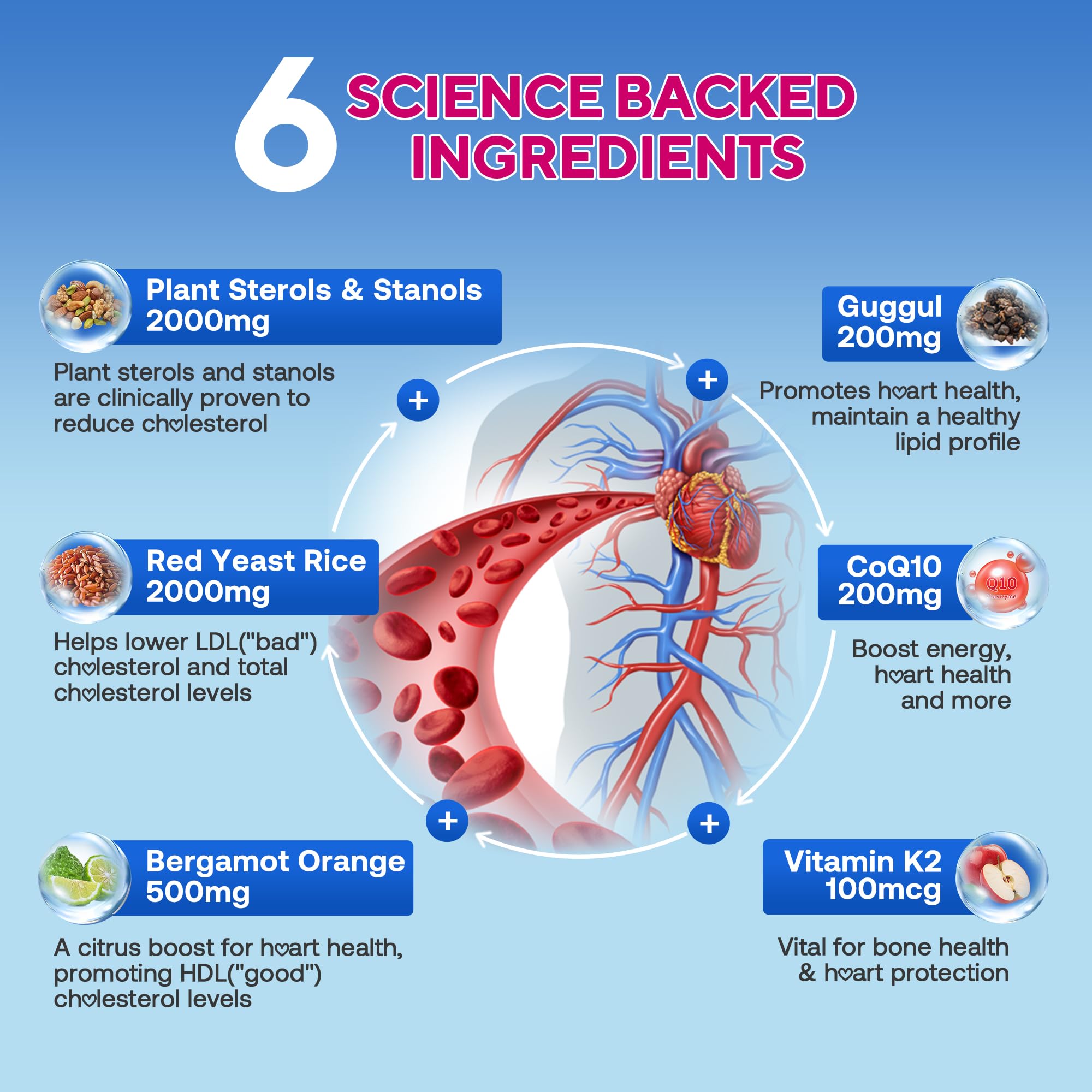 Zetelixia Cholesterol Support Gummies soft chewy texture