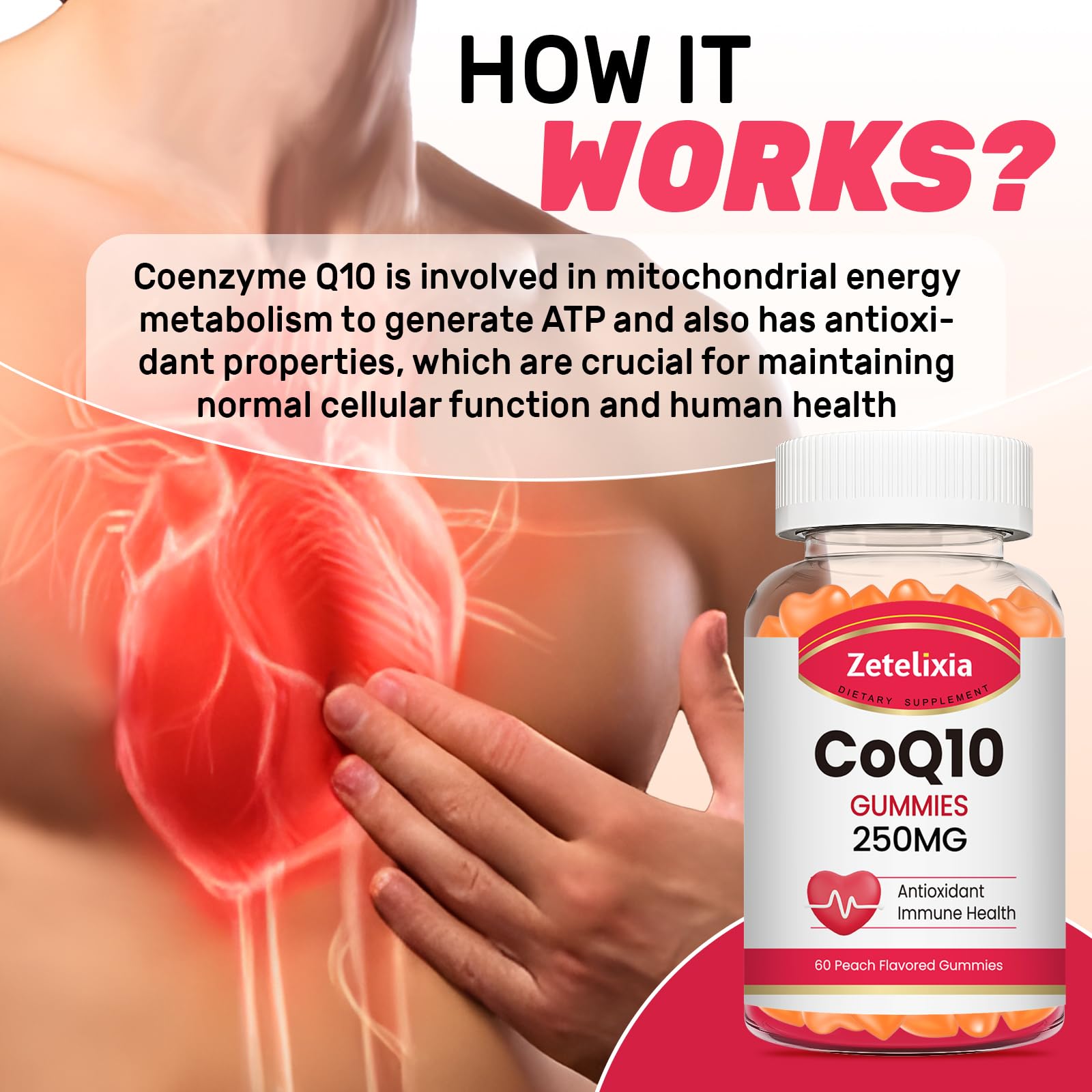 Zetelixia CoQ10 Gummies 5X Absorption side view of the bottle