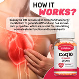 Zetelixia CoQ10 Gummies 5X Absorption side view of the bottle