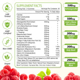 Zetelixia Cortisol Gummies back view with nutritional info