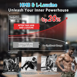 Zetelixia HMB and Leucine Gummies on a gym bench